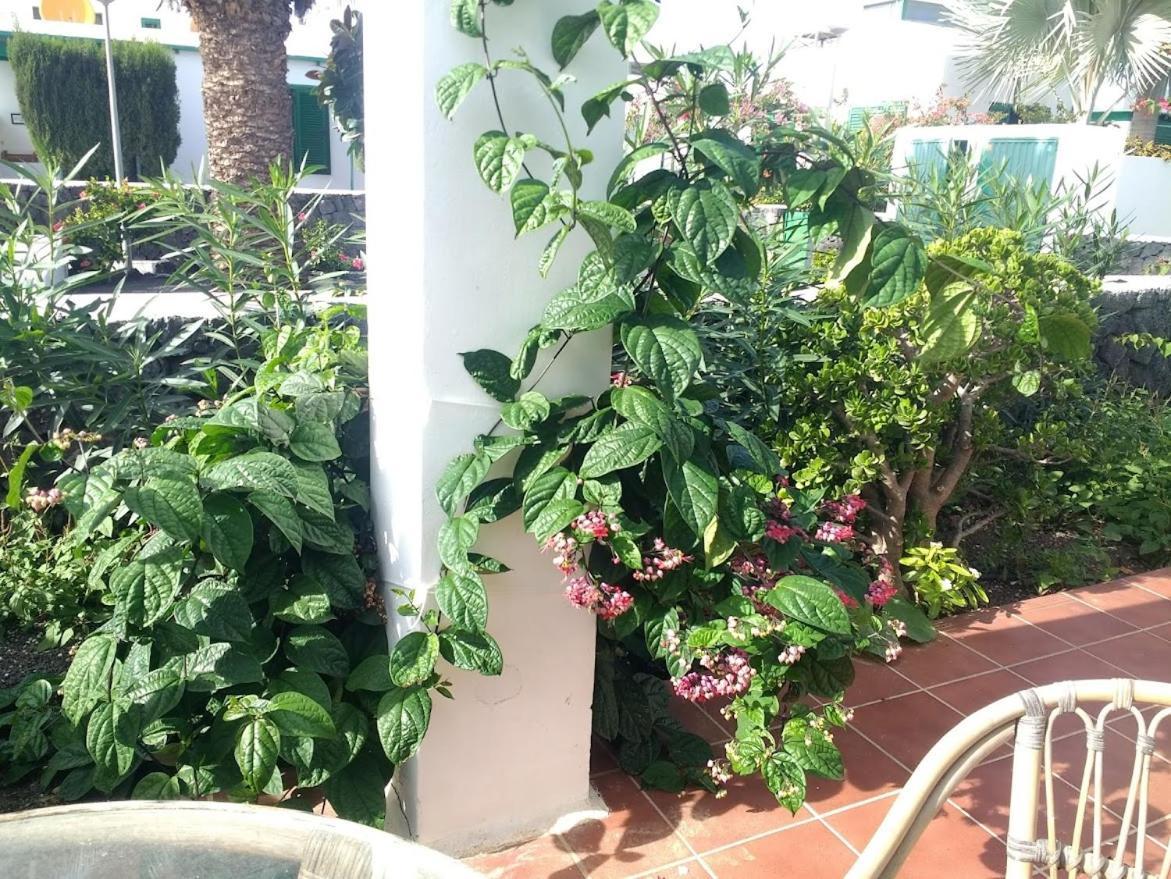 Casa Maracuya Villa Costa Teguise Ngoại thất bức ảnh