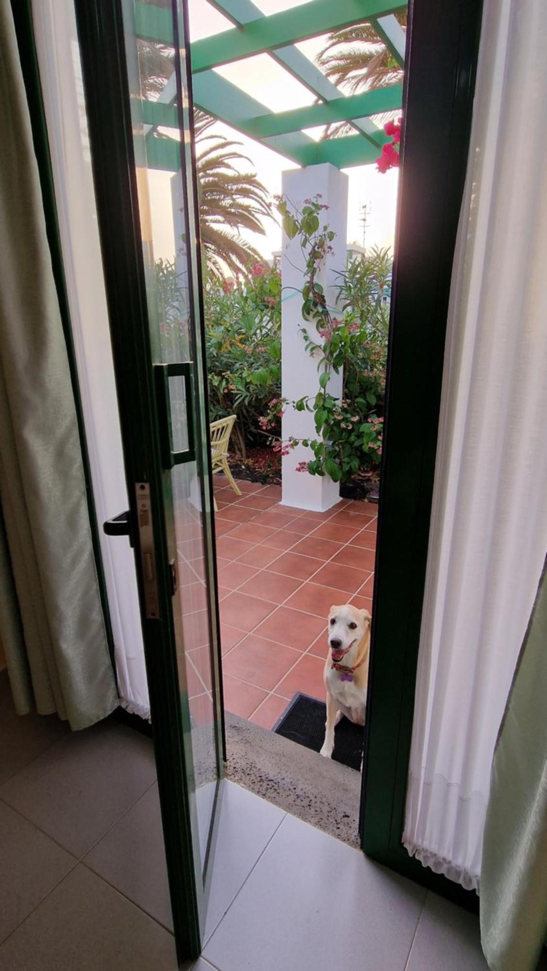 Casa Maracuya Villa Costa Teguise Ngoại thất bức ảnh