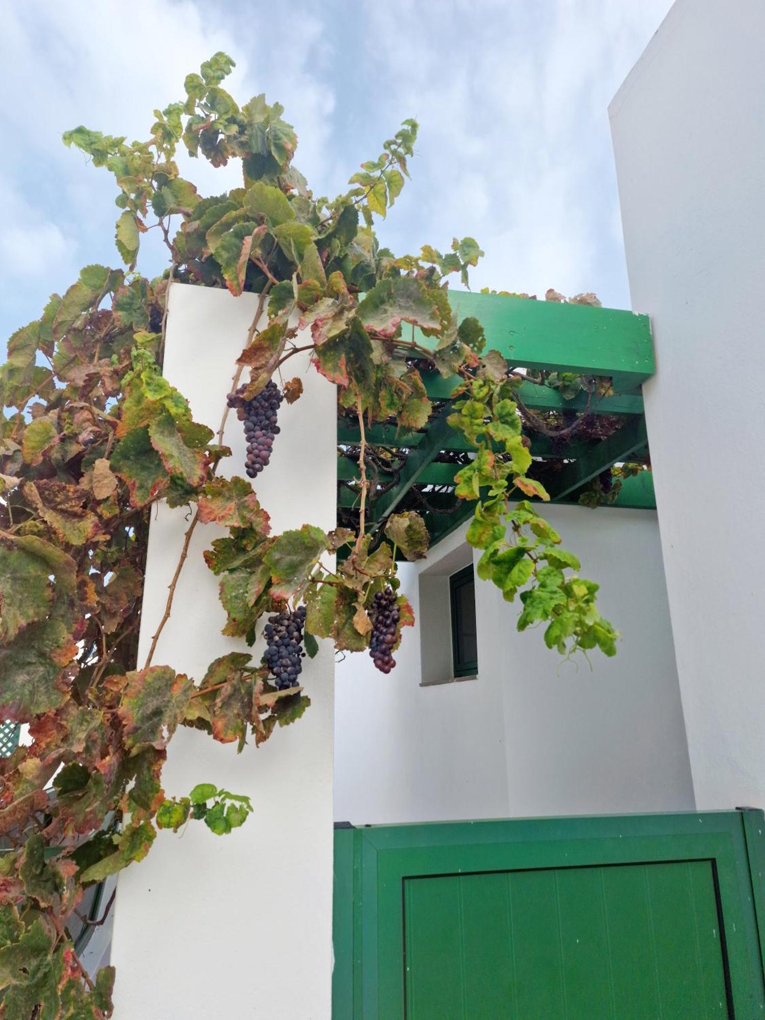 Casa Maracuya Villa Costa Teguise Ngoại thất bức ảnh